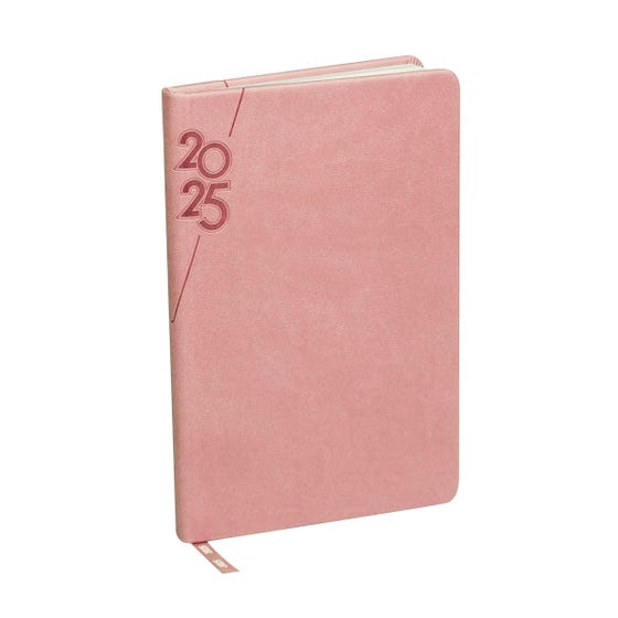 AGENDA MINI TERRA 2025 ROSA (AGMT 025 P)