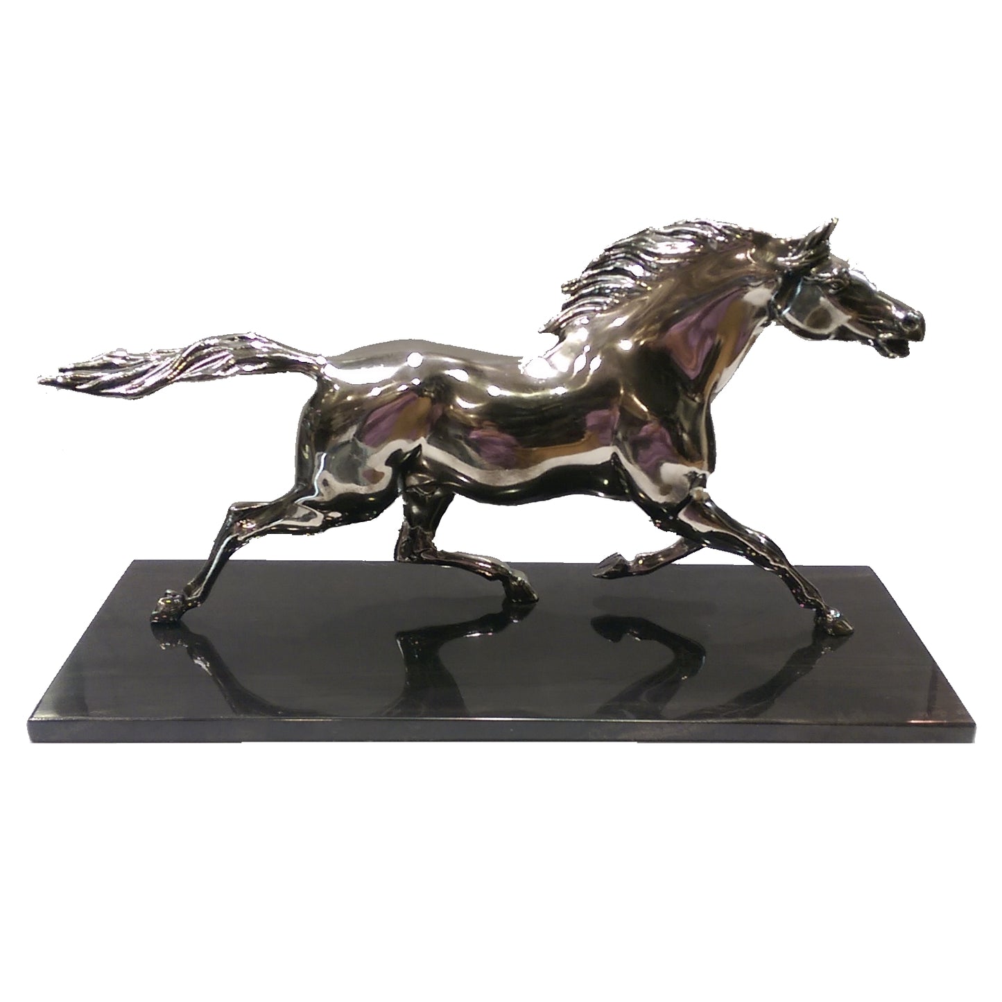 CABALLO SALVAJE
