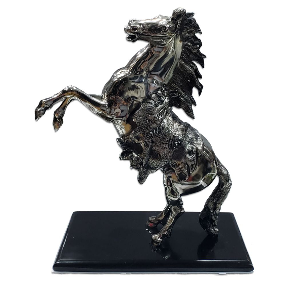 CABALLO ELISEO EN 2 PATAS