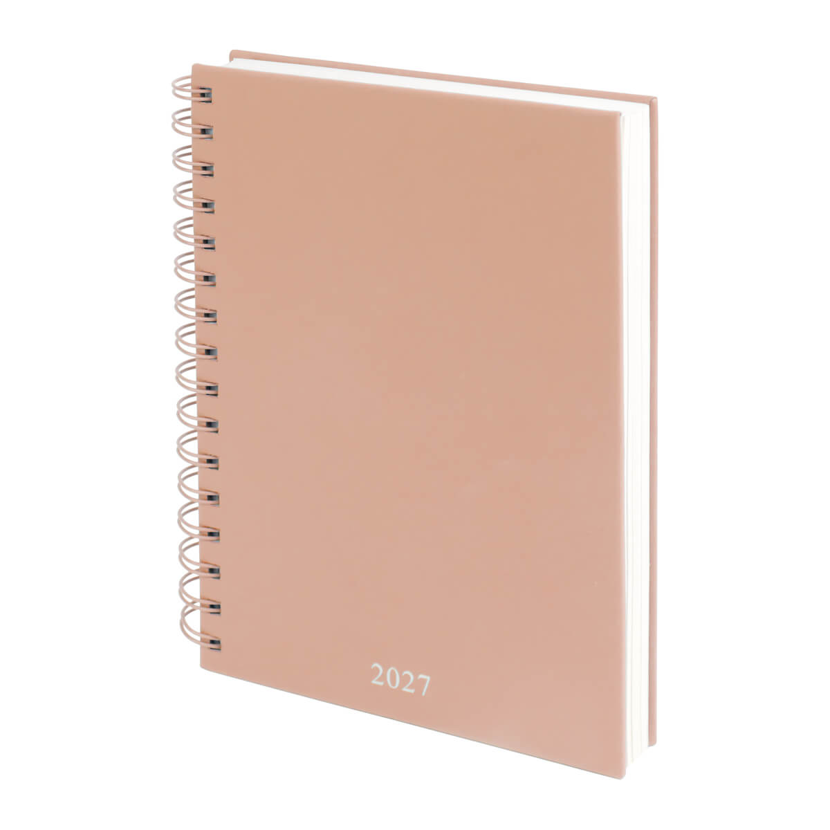 AGENDA DIARIA LETTE 2027 ROSA (AGSP 027 P)